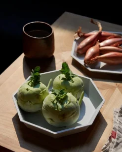 1616 / arita japan TY Anise 220 plate, unglazed grey