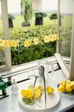 Alessi Juicy Salif citrus squeezer, aluminium