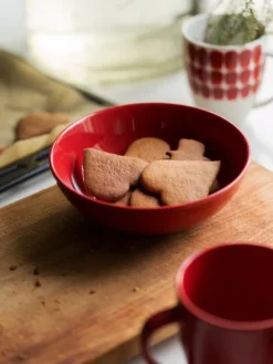 Arabia 24h Tuokio mug, 0,34 L, red