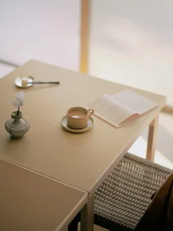 Artek Aalto foldable table DL81C, birch