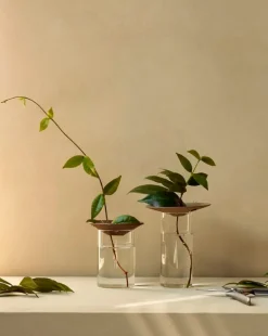 Audo Copenhagen Cresco propagation vase, 2 pcs