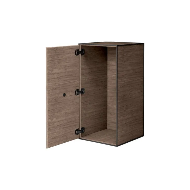 Audo Copenhagen Frame 70 with door, 2 shelves, smoked oak