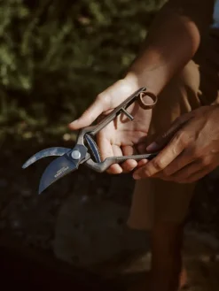 Audo Copenhagen Pallarès x Audo plant pruner