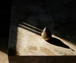 Audo Copenhagen Sentiment paper weight, brass