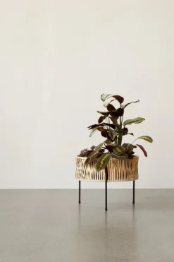 Audo Copenhagen Umanoff planter, 32,5 cm, black - rattan