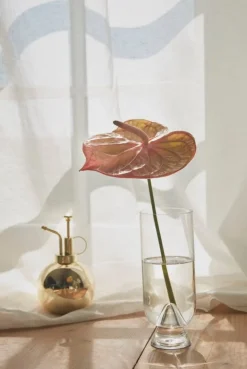 AYTM Glacies vase, M, clear