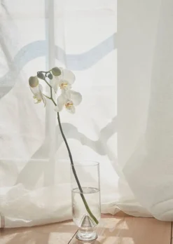 AYTM Glacies vase, M, clear