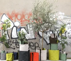 Bacsac Fabric pot, ecru