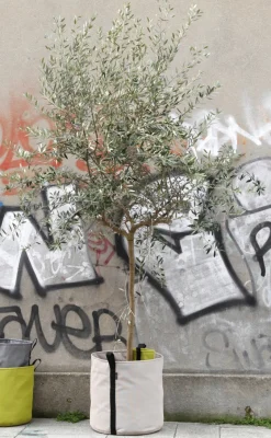 Bacsac Fabric pot, ecru