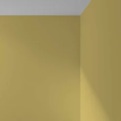 Cover Story Cover Story x Iittala interior paint, 3,6 L, i02 TOINI