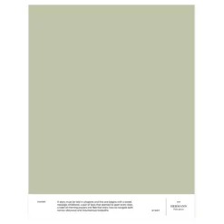 Cover Story Interior paint, 3,6 L, 027 HERMANN - pale green