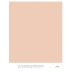 Cover Story Interior paint, 9 L, LB5 EDITH - dusty pink
