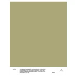 Cover Story Interior paint, 3,6 L, 028 TONI - mellow olive
