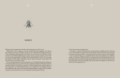 Cozy Publishing Cooking Sustainably: Delicious Recipes That Do Good