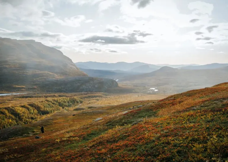 Cozy Publishing Food Over the Campfire - Recipes for Day Hikes and Wilderness Treks