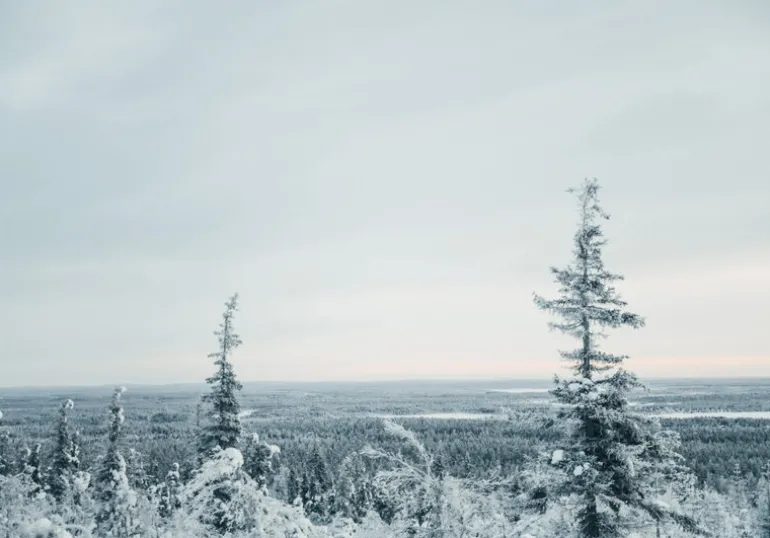 Cozy Publishing I Made This For You: Christmas Gifts&Decorations Crafted w/ Love