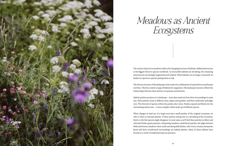 Cozy Publishing Where Flowers Bloom