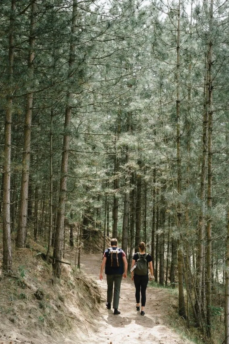 Dopper Dopper drinking bottle, steel, 0,8 L