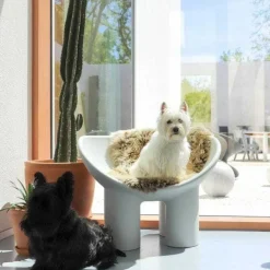 Driade Roly Poly armchair, concrete