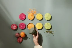 Eva Solo Green Tool burger press, green