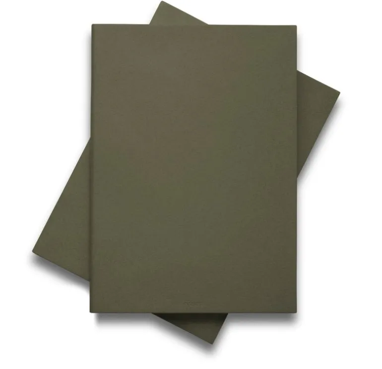 Eva Solo Green Tool DoubleUp cutting board, green