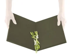 Eva Solo Green Tool DoubleUp cutting board, green