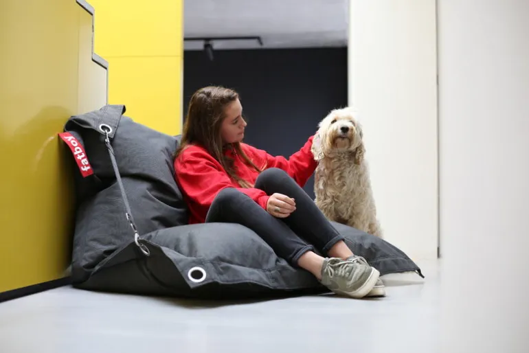 Fatboy Buggle Up Outdoor bean bag, thunder grey