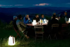 Fermob Aplô portable lamp H24, cactus