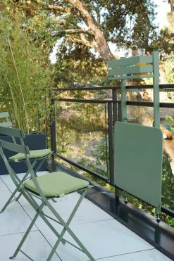 Fermob Bistro Metal chair, cactus