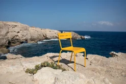 Fermob Luxembourg chair, cactus