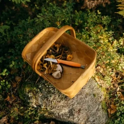 Fiskars Fiskars mushroom knife, 21 cm, orange