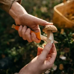Fiskars Fiskars mushroom knife, 21 cm, orange