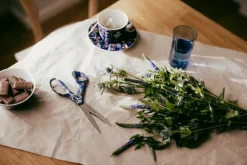 Fiskars Fiskars x Iittala scissors, Taika blue