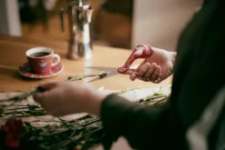 Fiskars Fiskars x Iittala scissors, Taika red