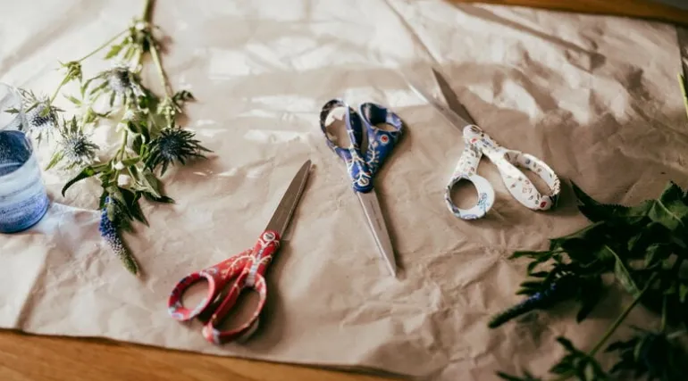 Fiskars Fiskars x Iittala scissors, Taika red