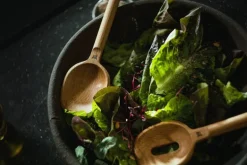 Fiskars Norden spoon set