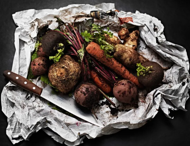 Fiskars Norr chef's knife