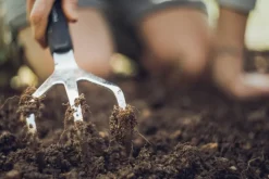 Fiskars Xact Cultivator