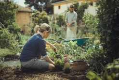 Fiskars Xact Cultivator