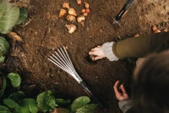 Fiskars Xact hand rake