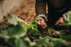 Fiskars Xact hand rake