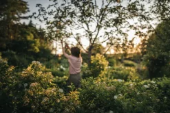 Fiskars X-Series bypass pruner L, P961