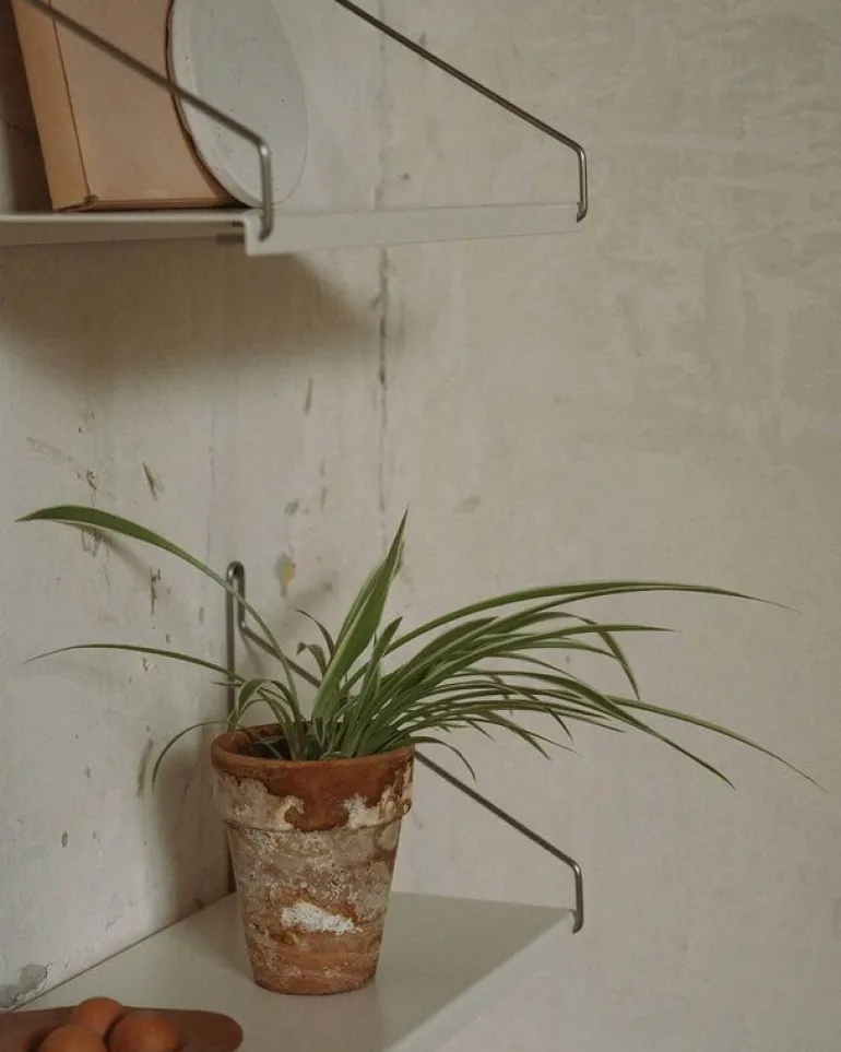 Frama D27 shelf, 60 cm, warm white steel