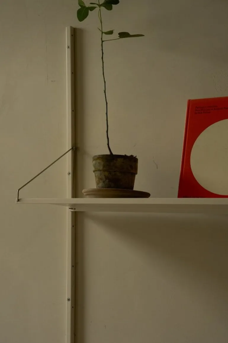 Frama Shelf Library H1852 wall shelf with desk, warm white