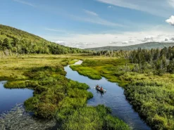 Gestalten Leaving the Comfort Zone