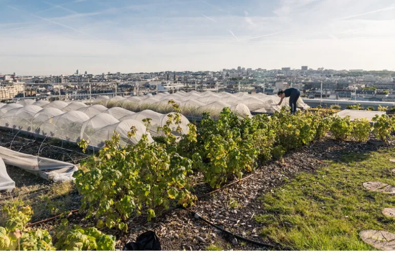 Gestalten Urban Farmers: The Now (and How) of Growing Food in the City