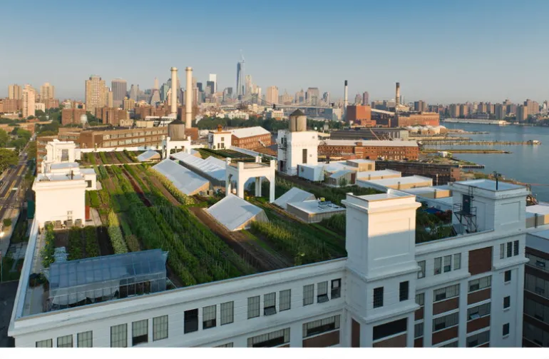 Gestalten Urban Farmers: The Now (and How) of Growing Food in the City