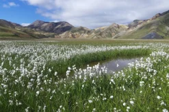 Gestalten Wanderlust Nordics