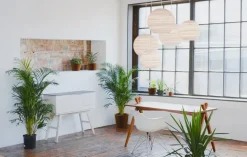 Graypants Moon18 pendant, white