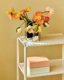 HAY Colour Storage box, XS, soft pink